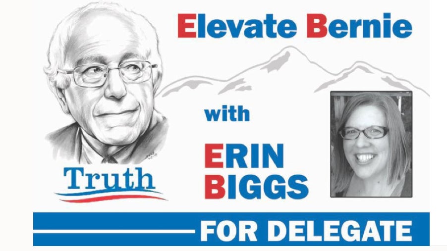 Colorado delegate Erin Biggs has raised about $2