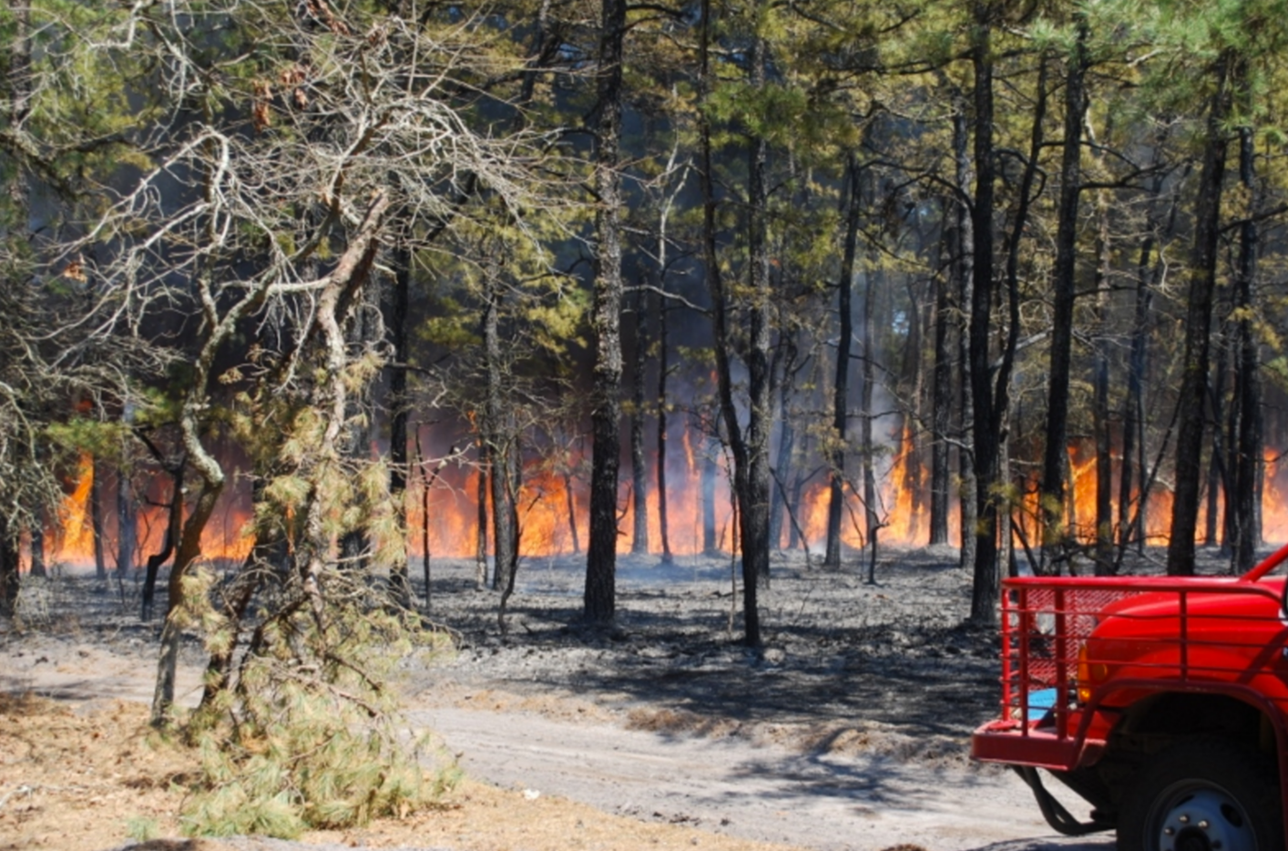 A wildfire in Wharton State Forest in April 2016. (Photo: John H. Rieth/NJFFS)