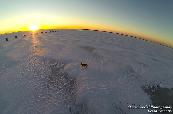  A foxy, frozen sunset. (Image courtesy of Kevin Doherty/Ocean Aerial Photography) 