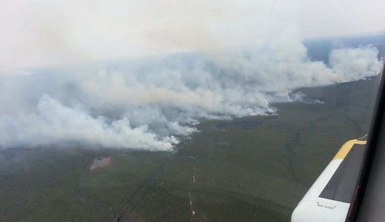  An image of prescribed burning on the Ocean/Burlington border yesterday from aboard New Jersey State Police's SouthStar Aeromedical helicopter. (Image via NJSP) 