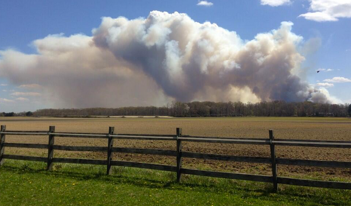  The smoke plume from the forest fire in Waterford Sunday afternoon. (Photo courtesy of @taeganlong via Twitter) 