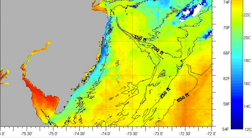  Sea surface temperatures are below normal due to upwelling, experts say. (Image: Rutgers Coastal Ocean Observation Lab) 