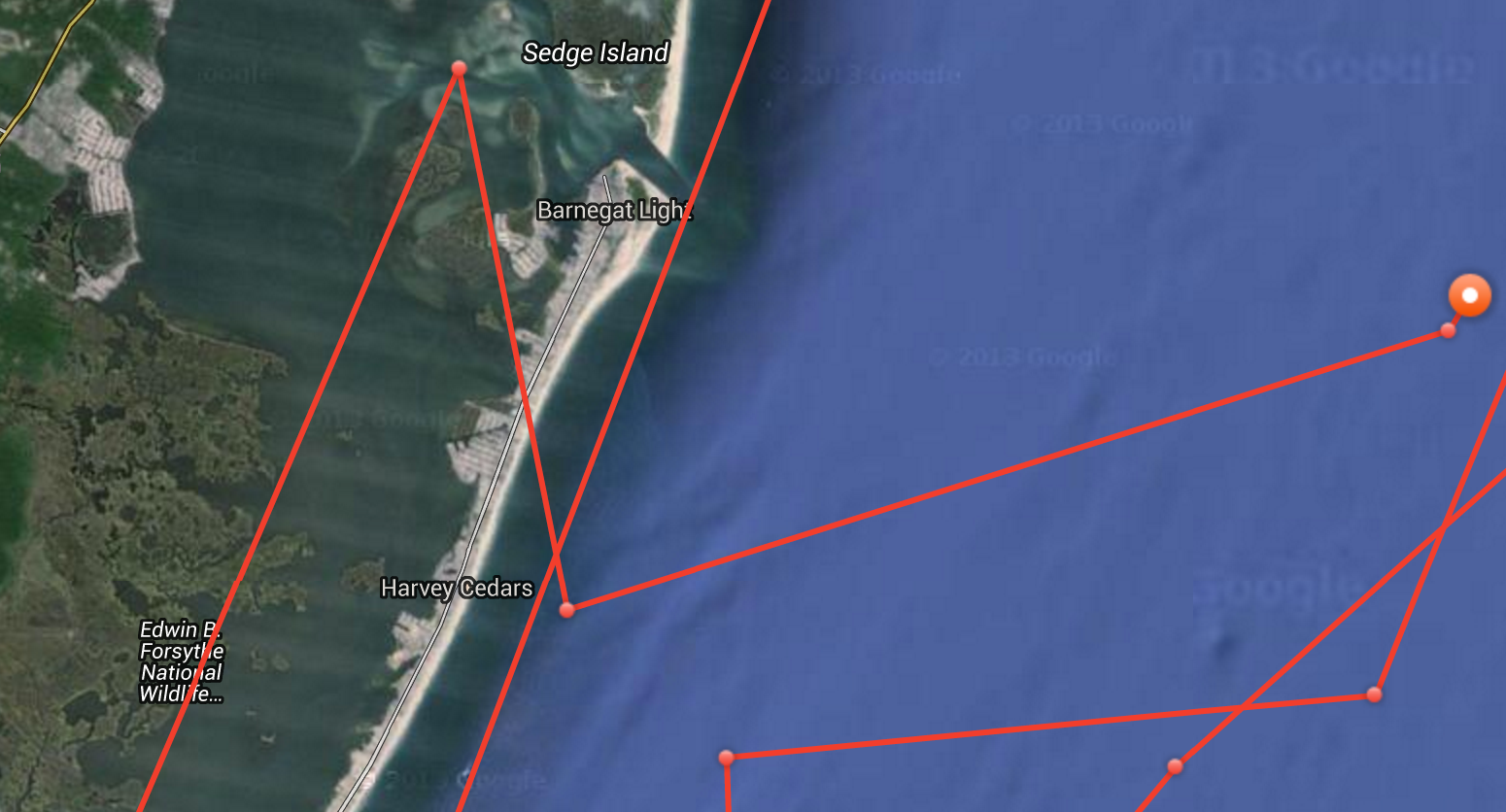  Mary Lee's track today. (Image: OCEARCH) 