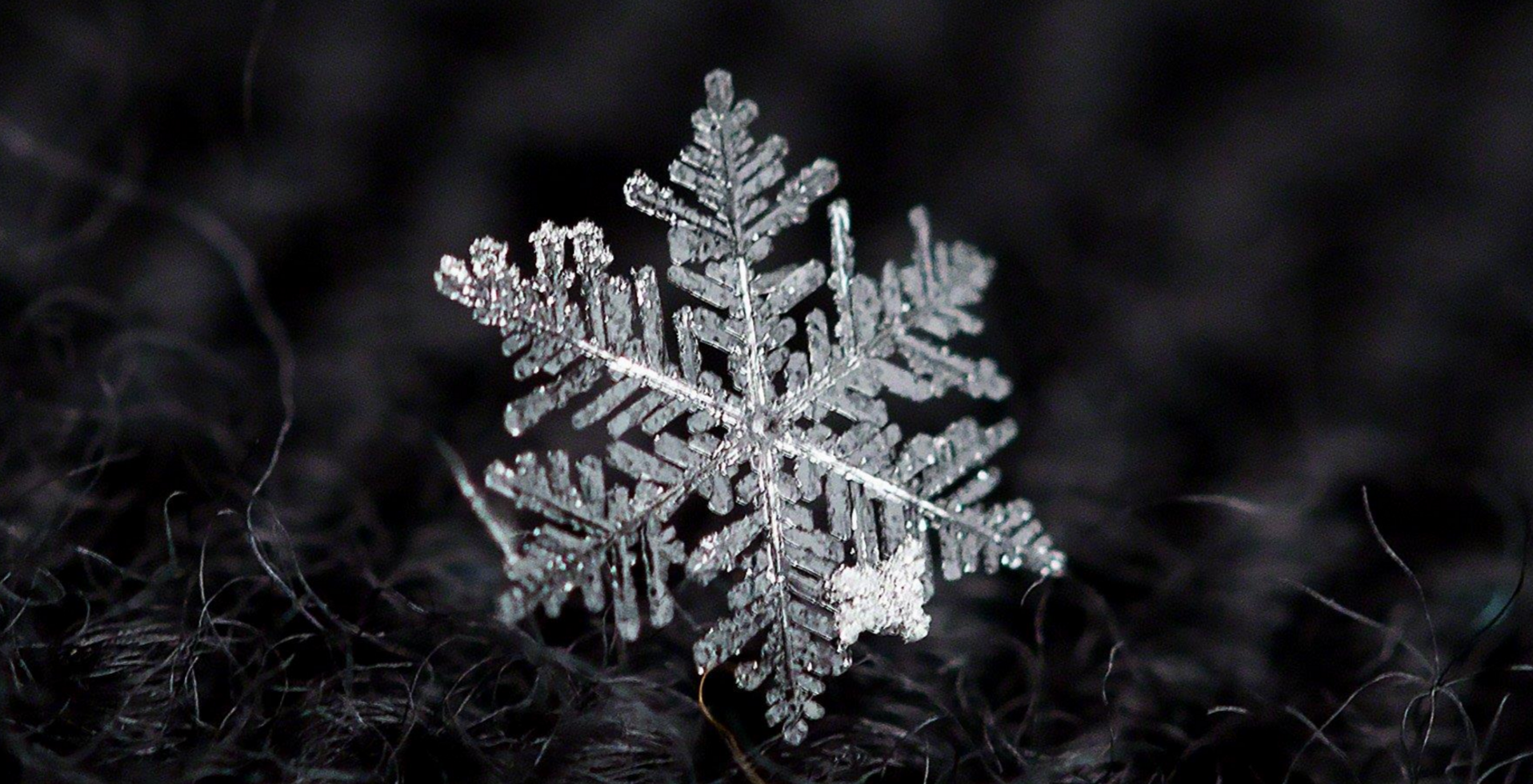  A snowflake as photographed by Robert  Raia.  