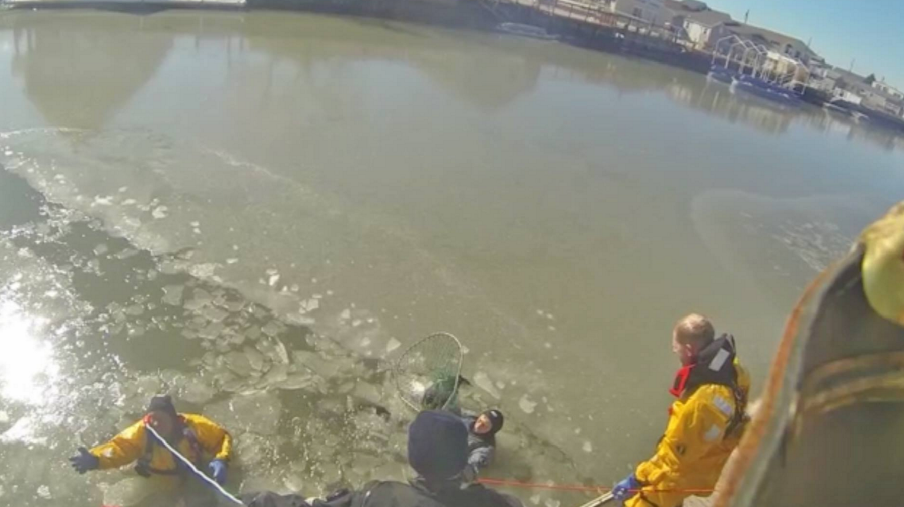  Firefighters returning to the shoreline after rescuing an injured bird yesterday afternoon in Mystic Island. (Photo courtesy of Roman Isaryk) 