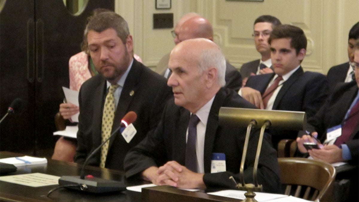 Lee Seglem testifies at Senate Environment Committee hearing (Phil Gregory / WHYY)