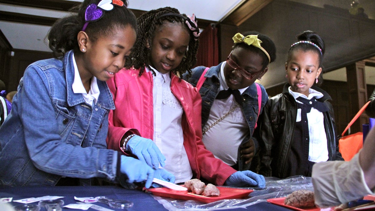  Third graders from Cornerstone Christian Academy (from left) Marenda Robinson, Kashae Livingston, Arianna Cox, and Milan Byrd, disect a sheep's brain during a science fair at the University of Pennsylvania. (Emma Lee/WHYY) 