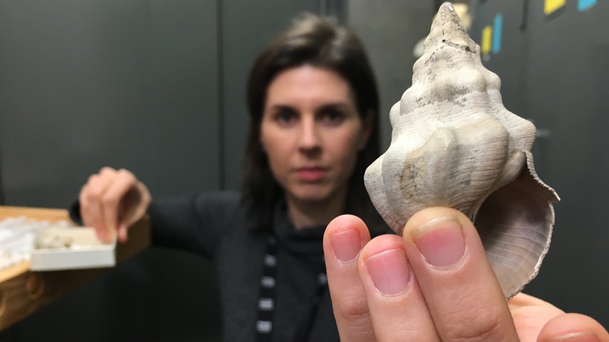 Jann Vendetti holding the shell of a snail known as 