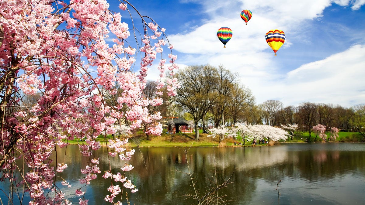  The Cherry Blossom Festival in Branch Brook Park, Essex County, is one of the reasons New Jersey residents like where they live. (<a href=