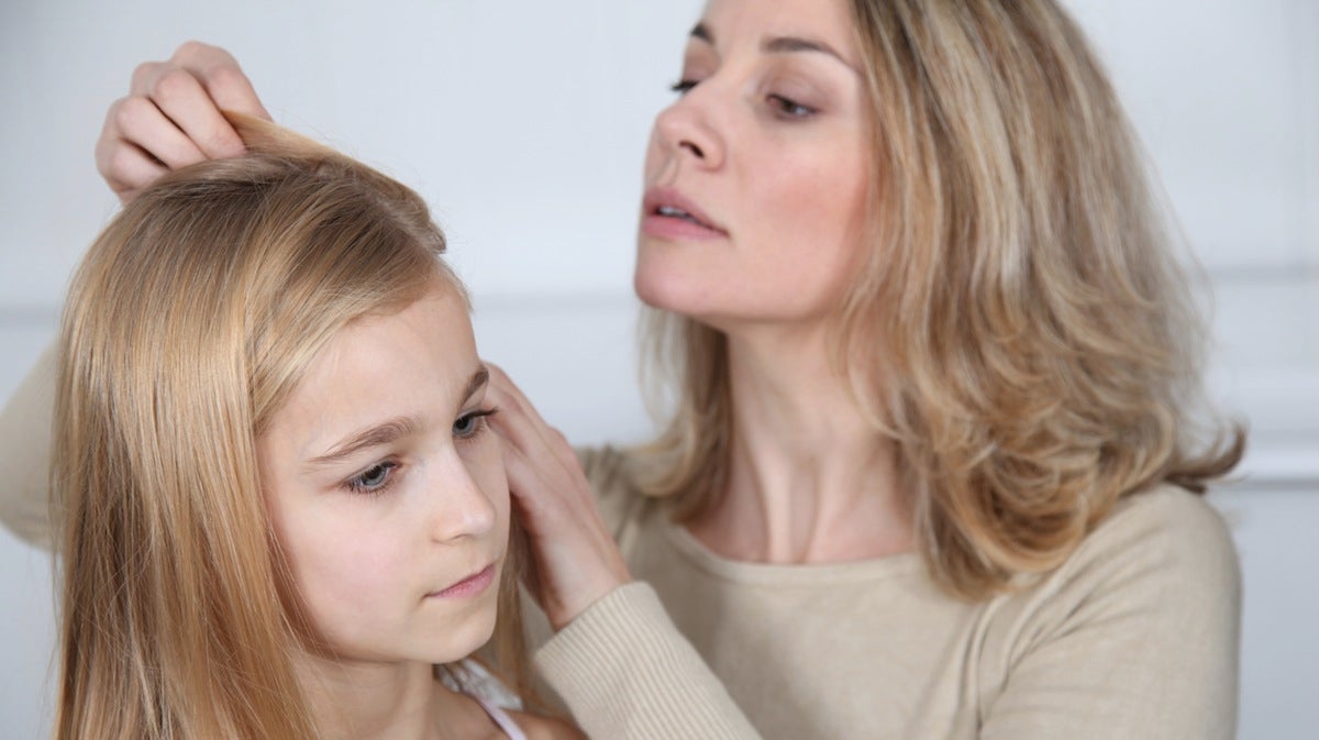  Mother treating daughter's hair against lice image courtesy of Shutterstock.com 