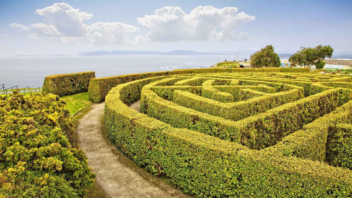  (<a href='http://www.shutterstock.com/pic-115561087/stock-photo-garden-maze-in-san-pedro-mount-la-coruna-spain.html'>Garden maze in San Pedro mount, La Coruna, Spain</a> image courtesy of Shutterstock.com.) 