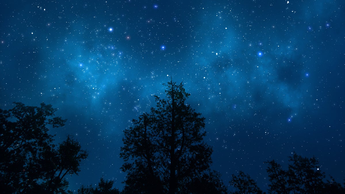  (<a href='http://www.shutterstock.com/pic-112649735/stock-photo-night-sky-with-trees.html'>Night sky image</a> courtesy of Shutterstock.com) 