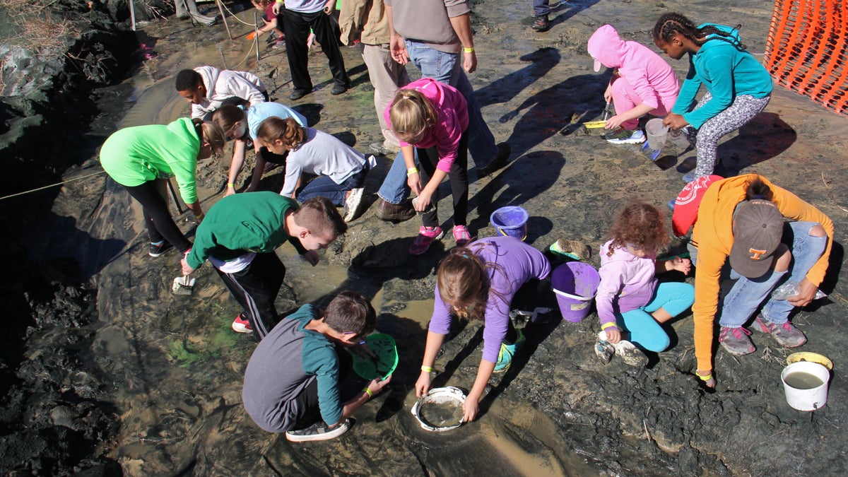 Students sift through a muddy stream looking for fossils from the Late Cretaceous. (Emma Lee/WHYY)
