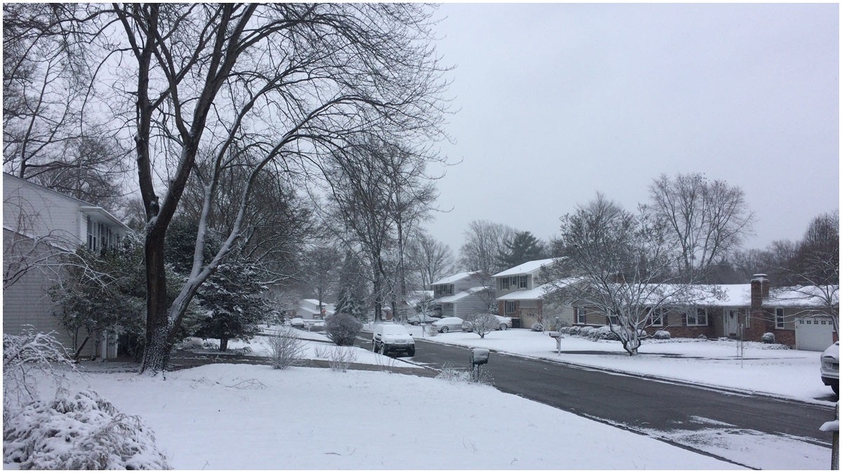 Snow accumulated on grassy areas and driveways in New Castle County (Shirley Min/WHYY)