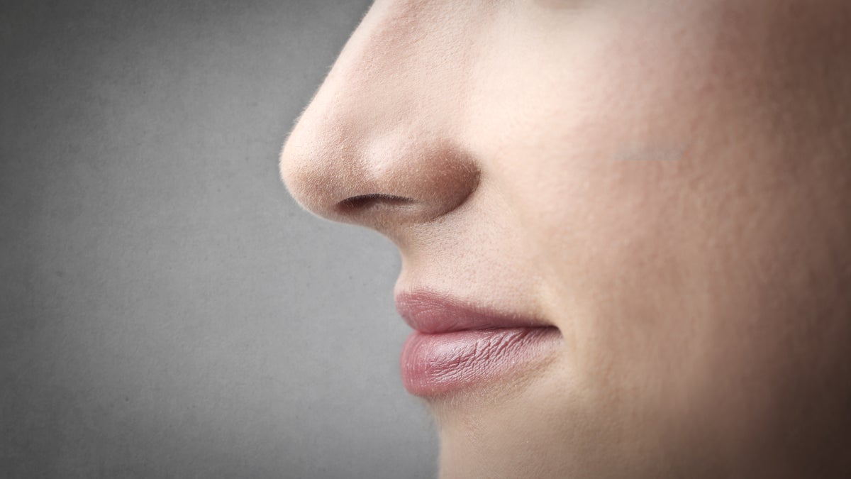  Researchers at the University of Pennsylvania have found that taste receptors in the nose also function as bacterial detectors - one of the body's ways of fending off infection (<a href=