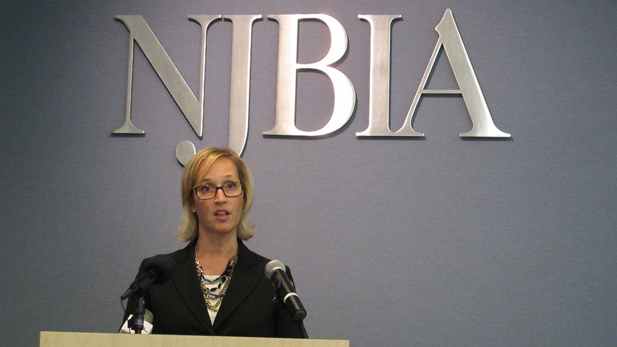  New Jersey Business and Industry Association vice president Christine Stearns discusses the health benefits survey at Trenton news conference. (Phil Gregory/WHYY)  