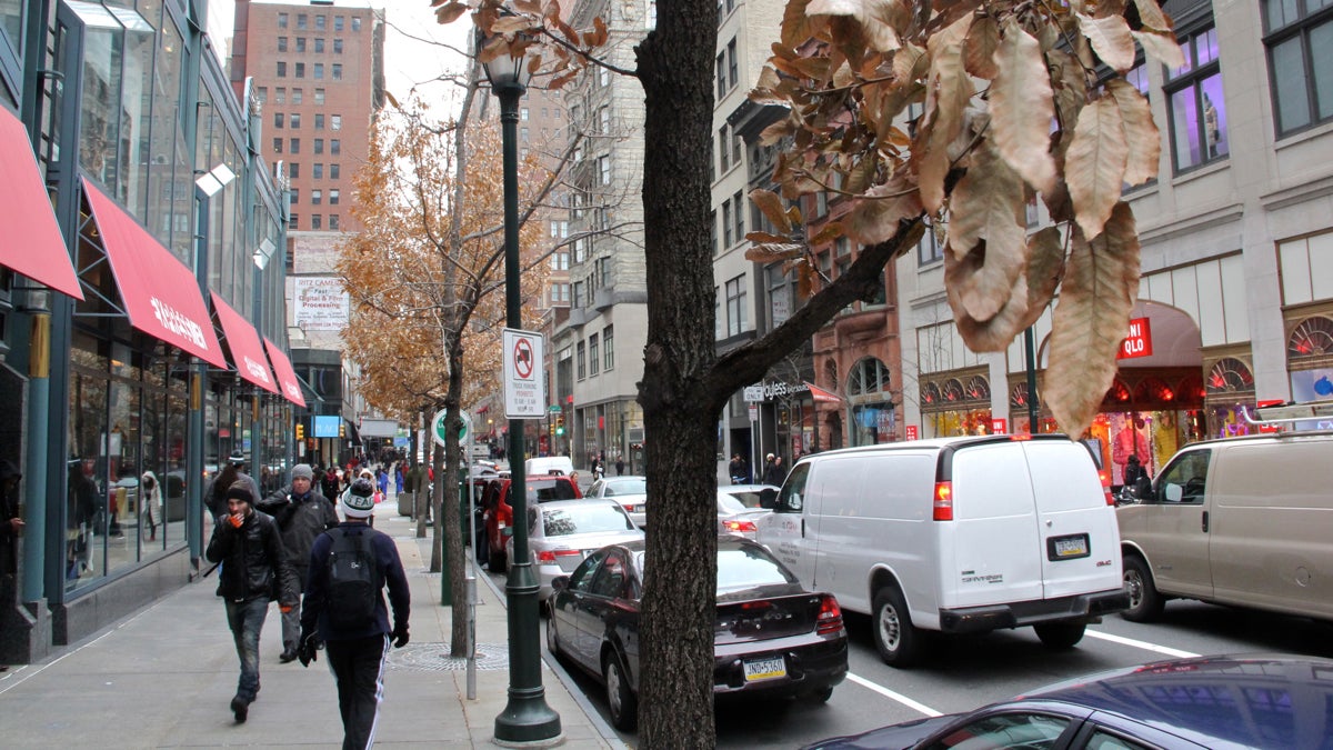  Philadelphia has more than 2 million trees to care for. (Emma Lee/WHYY) 