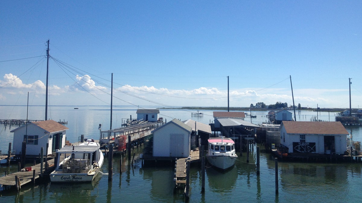  The island of Tangier is facing rising seas because of climate change. (Carolyn Beeler/WHYY) 