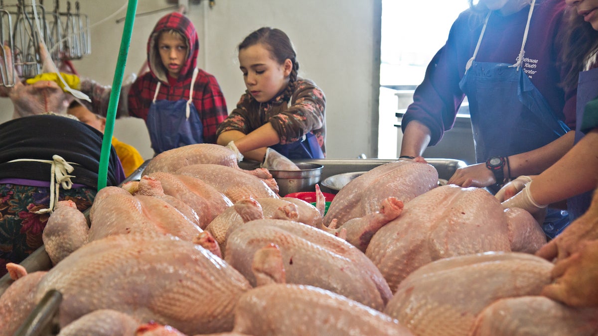 It takes about 20 workers, including the children of the Howe family, to process all the Turkeys for Thanksgiving. They process about 1,200 a day, for four days in the week before Thanksgiving. (Kimberly Paynter/WHYY)