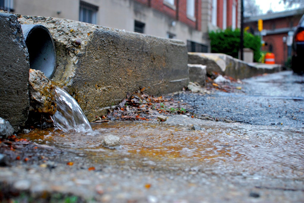 (photo courtesy of Chesapeake Bay Program Flickr page)