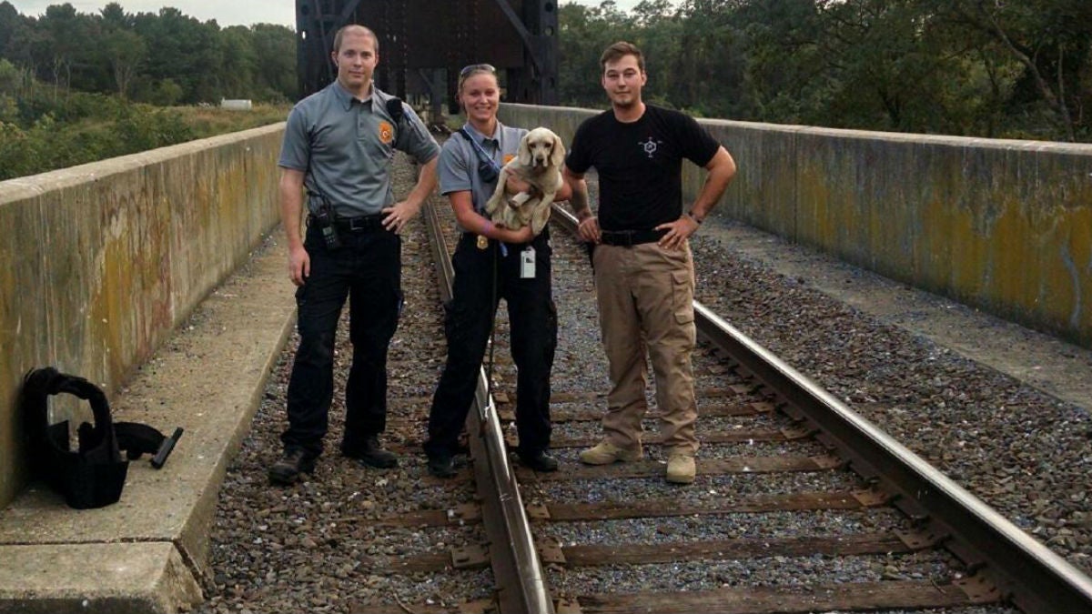 (photo courtesy Delaware Animal Services)