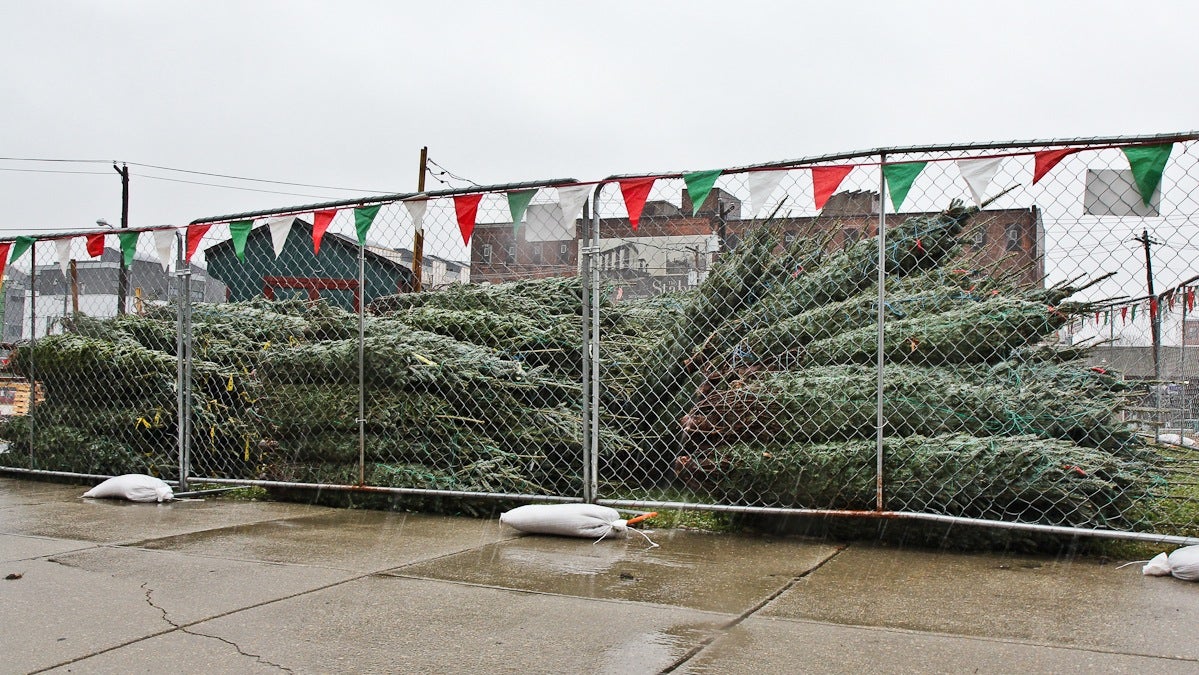  A lot in Philadelphia's Northern Liberties neighborhood is the site of Christmas trees on sale before Thanksgiving. (Kimberly Paynter/WHYY) 