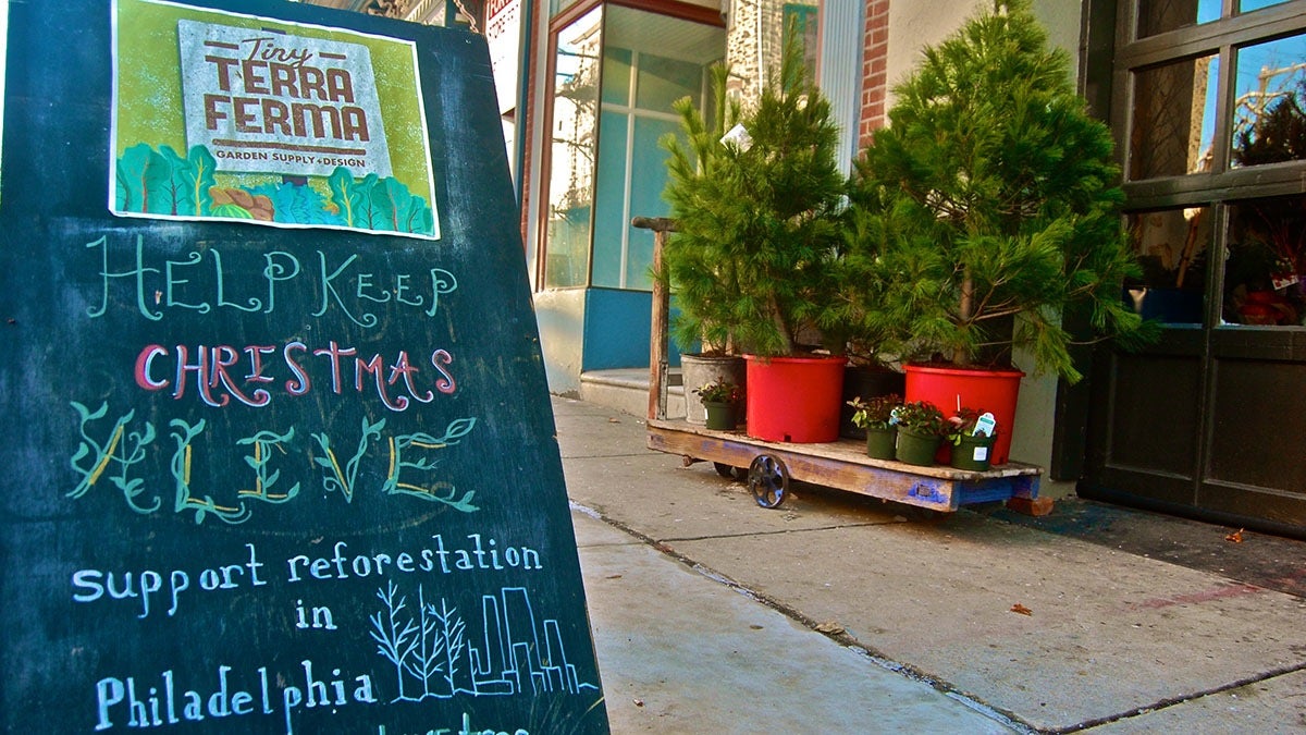  'It's a project we're hoping will become a tradition; something that we, and the community, can grow with year after year.' said co-owner Annie Scott on Tiny Terra Ferma's Christmas tree replanting project.  (Emily Brooks/for NewsWorks) 