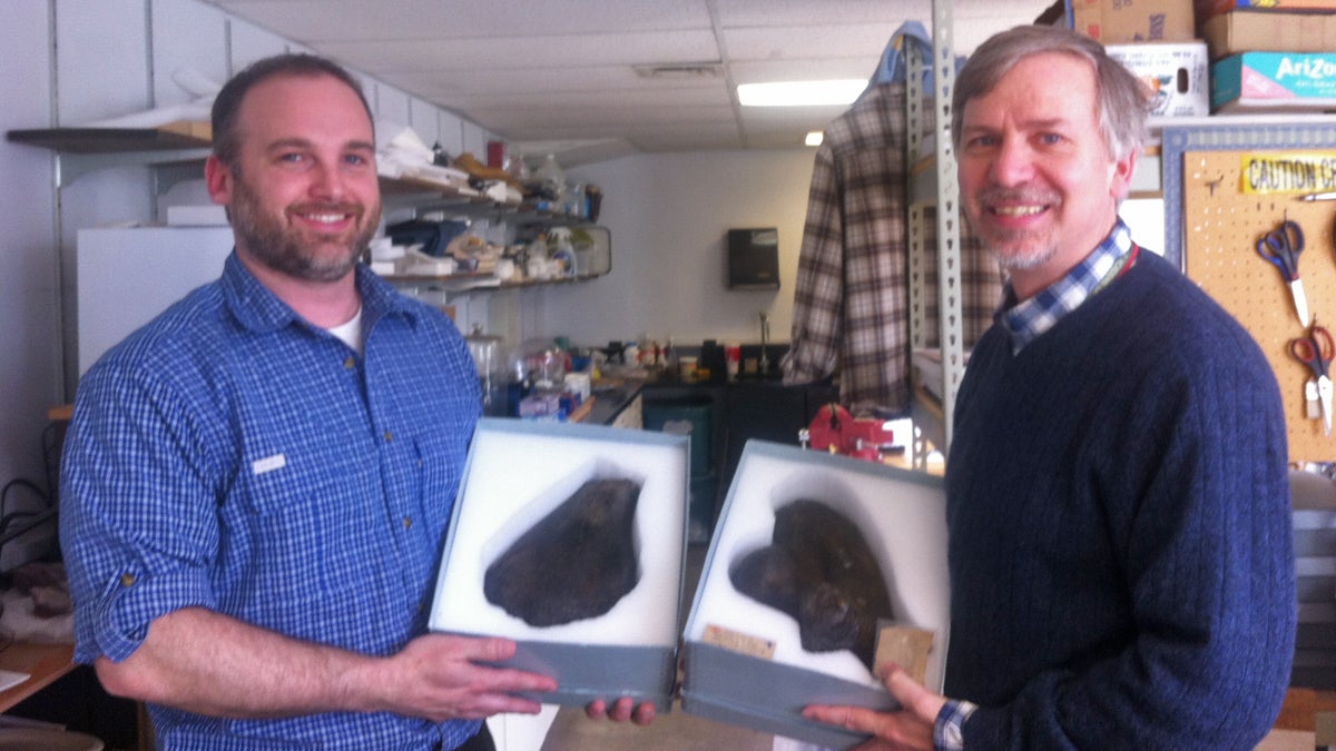 Jason Schein, assistant curator of natural history at New Jersey State Museum (left), and Ted Daeschler, curator of paleontology at the Academy of Natural Sciences of Drexel University, hold two matching pieces of turtle bone.  (Maiken Scott/WHYY) 