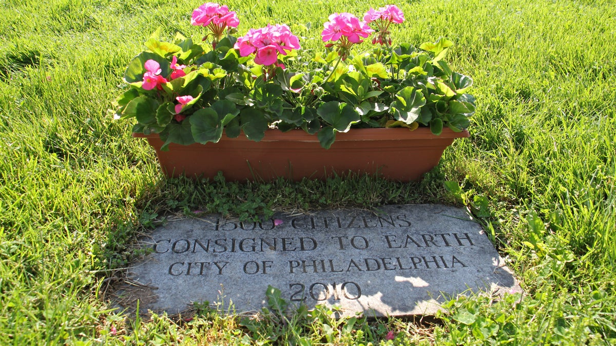 A single stone marks the grave of 1,500 Philadelphians whose cremated remains were never claimed from the Medical Examiners Office. (Emma Lee/WHYY)