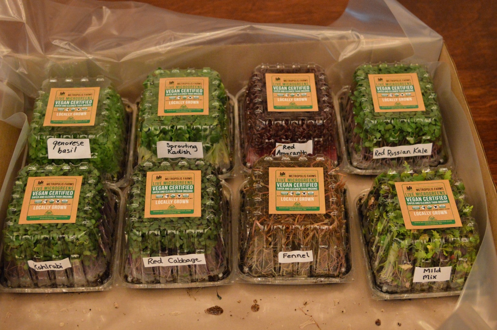 Some of the greens grown in Philadelphia. (Tom MacDonald/WHYY)