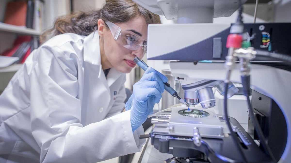 Graduate student Bahareh Jalali places tissue specimen onto Villanova University’s high-speed imaging cryomicroscope. (Photo courtesy of Paul Crane/Villanova University)
