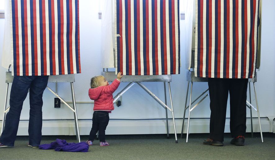 a toddler at a voting booth