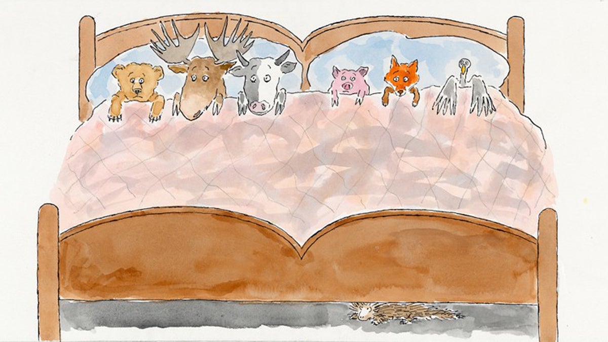  The first major exhibition to explore the life and career of children's book writer, illustrator, and Philadelphia native Bernard Waber opens at the National Museum of American Jewish History. Pictured: Animals in Bed, U.S. Illustration, 1997 by Bernard Waber. Photo courtesy of the National Museum of American Jewish History. 