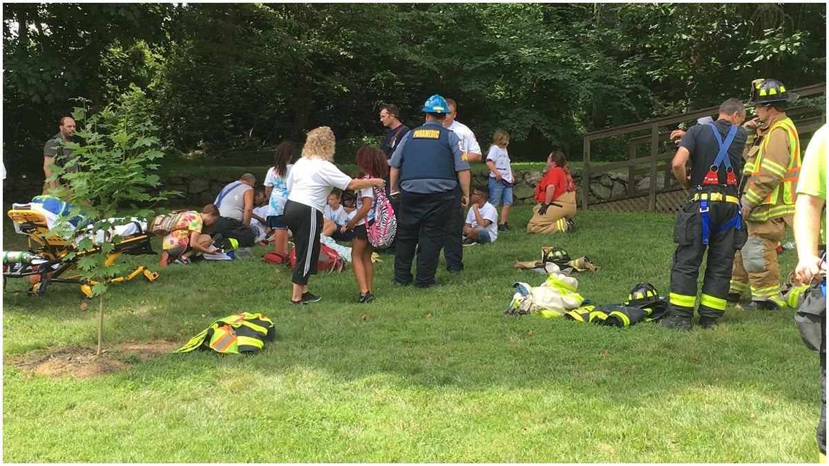 Wasps stung a dozen New Castle County summer campers during a picnic at Rockwood Park and Museum on Wednesday morning. (John Jankowski/for NewsWorks)