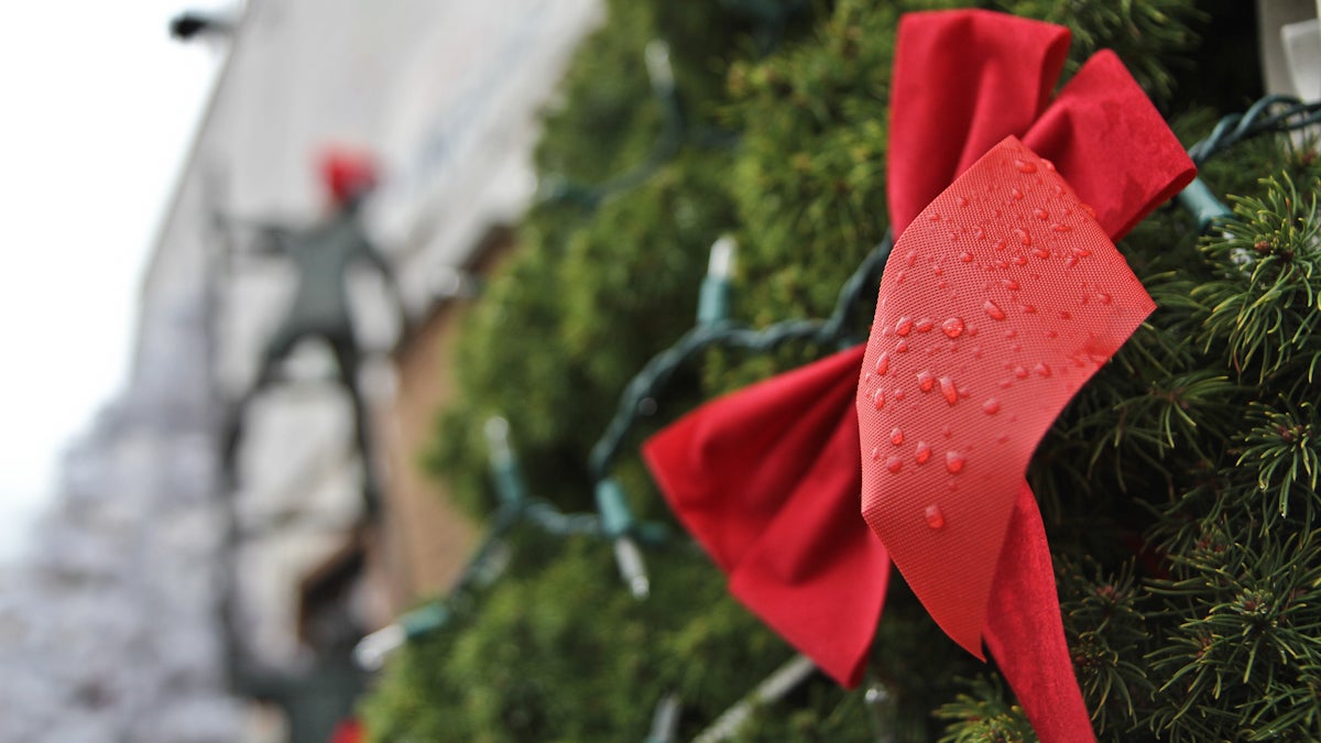  A Christmas bow, wet by rain (Kimberly Paynter/WHYY) 