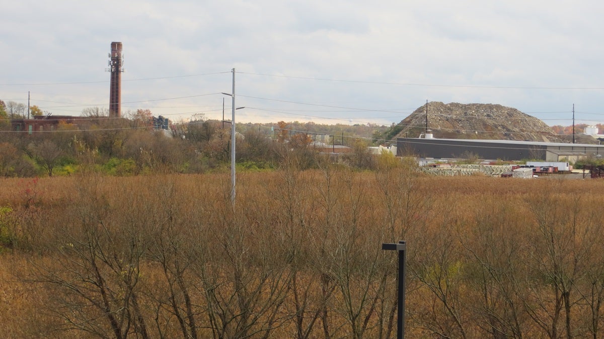  The future site of the 20-acre Southbridge wetland (Shirley Min/WHYY) 