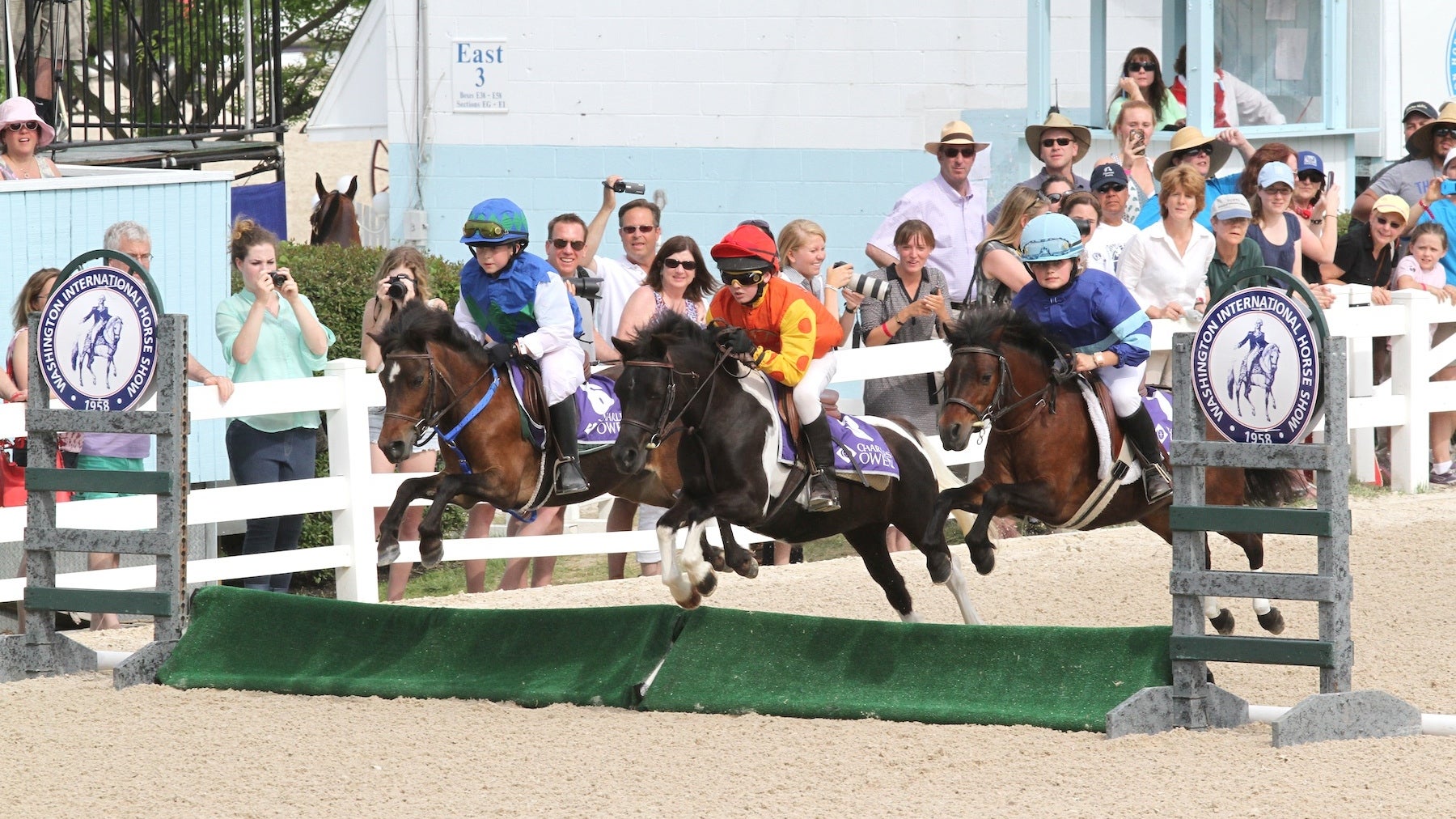  Kids racing Shetland ponies, a first at the Devon Horse Show, Monday, May 26. (Photo courtesy of Jennifer Wood Media, Inc.) 