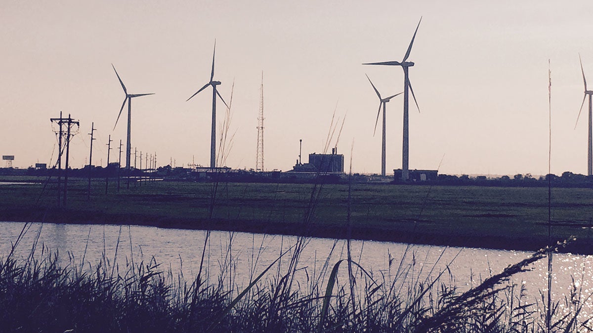 Jersey-Atlantic’s coastal wind farm in Atlantic City. (Phil Gregory/WHYY) 