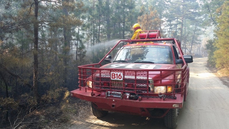 A 2015 Pine Barrens wildfire. (Photo: George Gerber III/NJFFS)