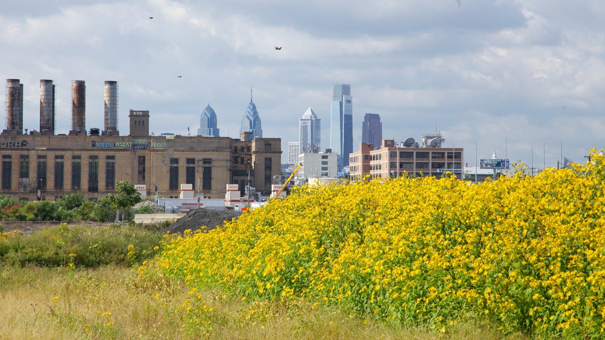  Steve Wynn is proposing a casino on this 57-acre lot along the Delaware River in Fishtown (Nathaniel Hamilton/for Newsworks) 