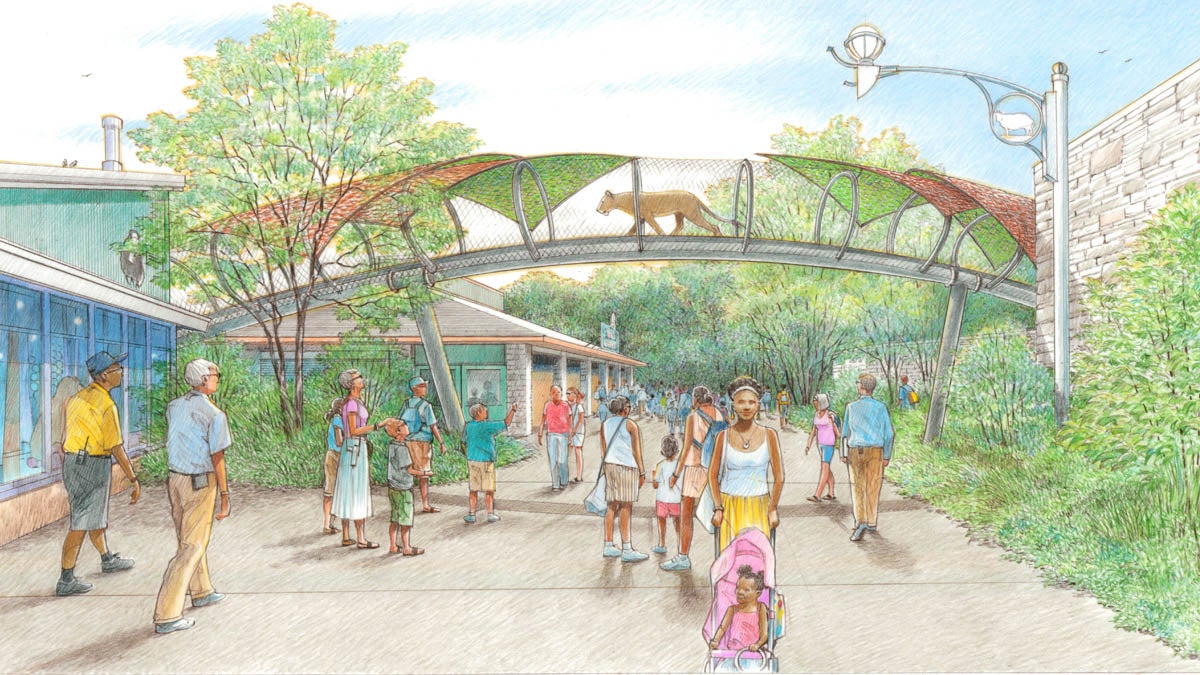  A $6 million grant will help fund a new overhead trail for the zoo's big cats. (Rendering courtesy of Philadelphia Zoo) 