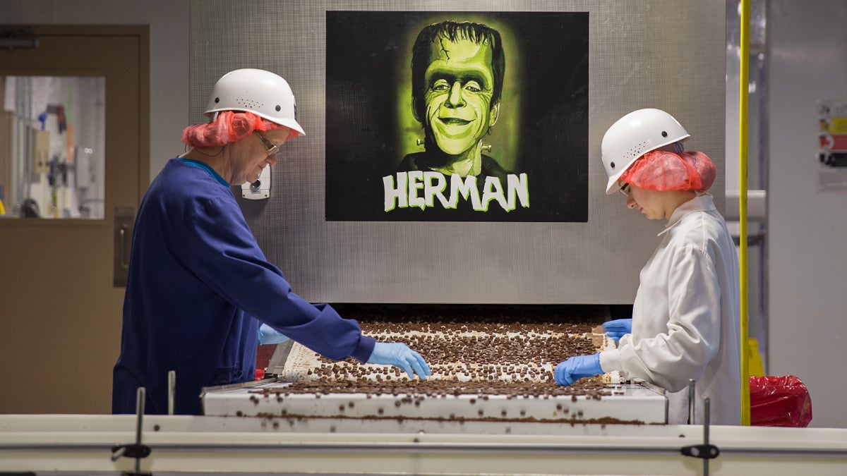  Workers check pieces of candy at the Gertrude Hawk Chocolates manufacturing facility near Scranton, Pennsylvania. (Lindsay Lazarski/WHYY) 
