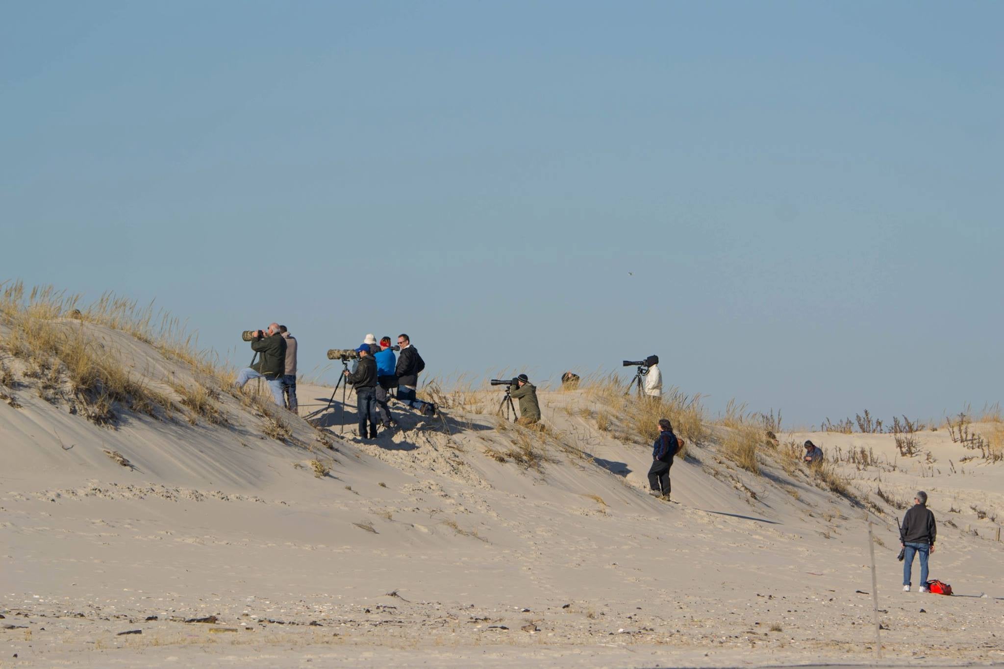  Photographers on a dune in Island Beach State Park  in late December. (Photo: Kevin Knutsen) 