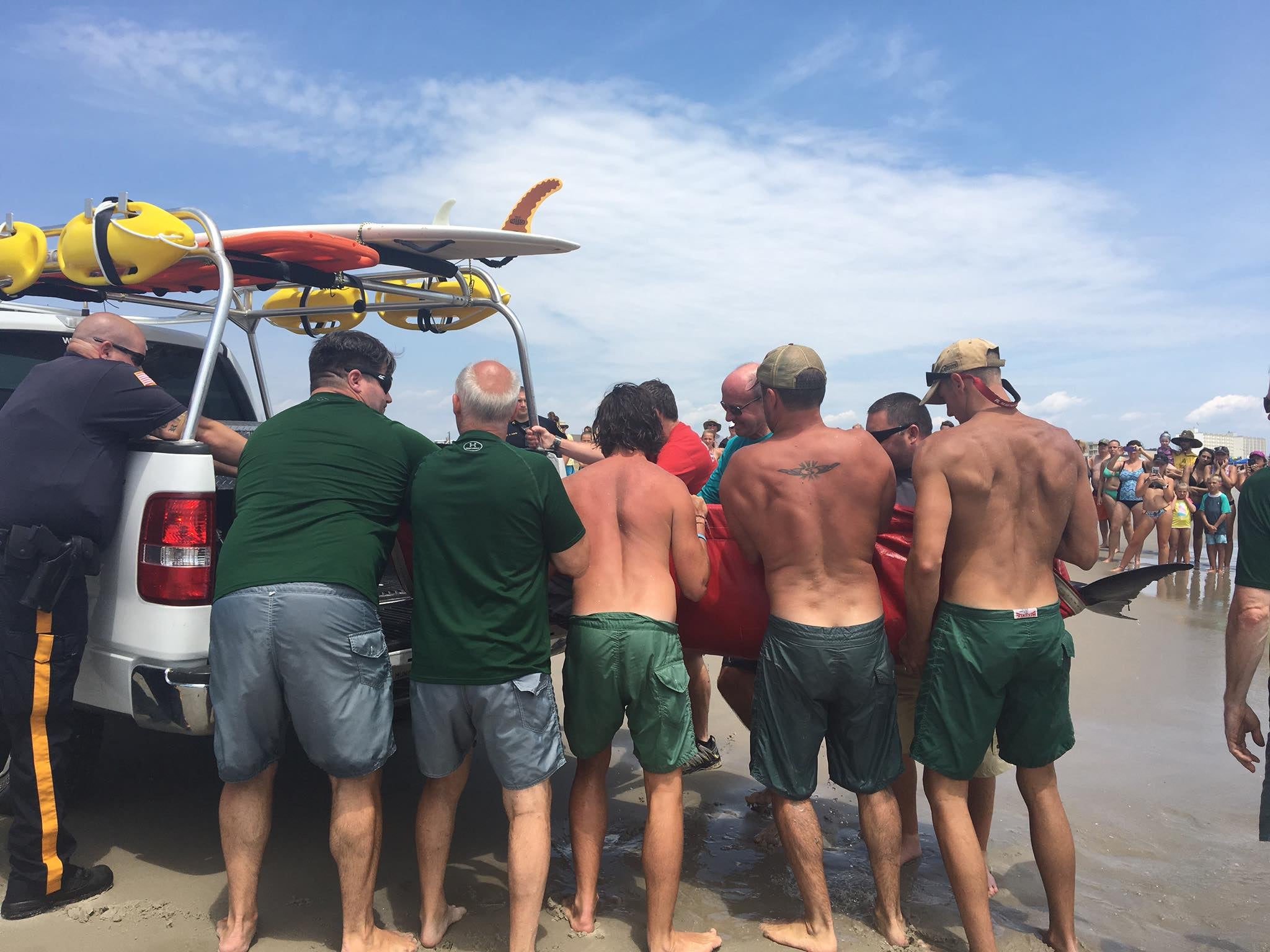  Sea Isle City lifeguards load a beached dolphin onto a truck. (Image: Sea Isle City Beach Patrol via Facebook) 