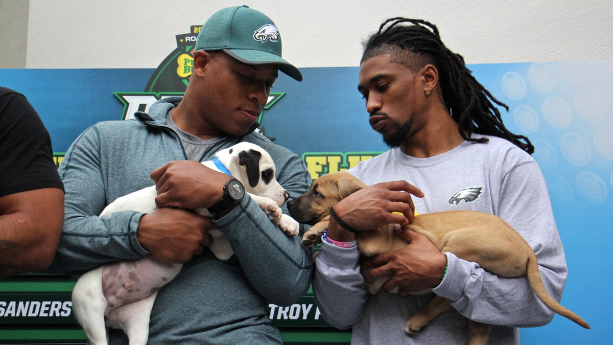 Eagles players Terrill Watson (left) and Ron Brooks hold puppies during the Puppy Bowl draft at Morris Animal Refuge in South Philadelphia. (Emma Lee/WHYY)