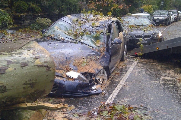 <p><p>15. A downed tree from Superstorm Sandy leaves this car in its wake on Midvale Avenue. (Brian Hickey/WHYY).</p></p>
