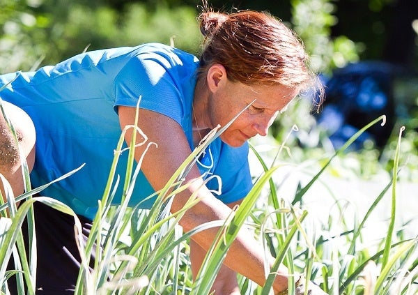 <p><p>48. Heidi Deneuse pulls weeds at Weavers Way Co-op's urban farm in Germantown. Deneuse came from for the Michigan as part of Germantown First Presbyterian's Urban Immersion Program. (Brad Larrison/for NewsWorks)</p></p>
