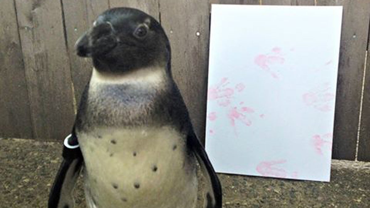 20130717-its-a-girl-aquarium-1200 (Photo from Adventure Aquarium Facebook page)