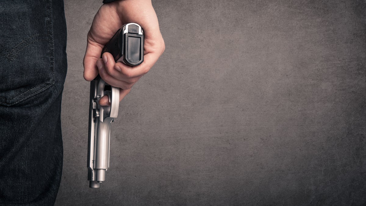 20151028-gun-veto-override-1200