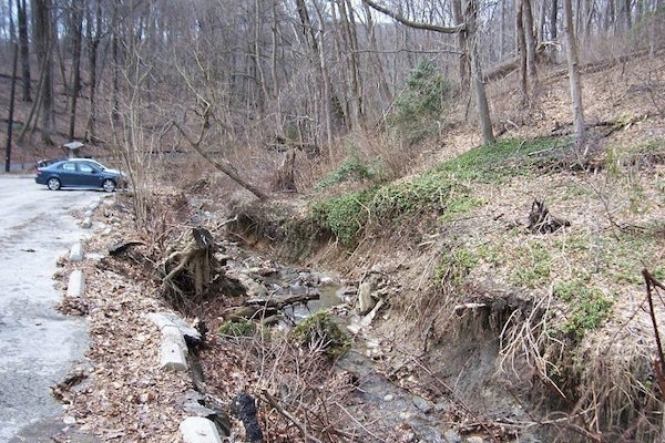  (Photo courtesy of Friends of the Wissahickon) 